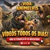 vida animelvis
