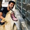 ISI lions 🦁 and Animal lovers 🎖️
