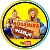 Bosanska veselja [Dženid]