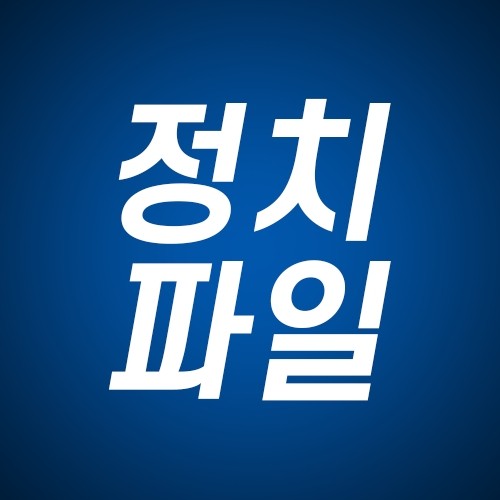 정치파일