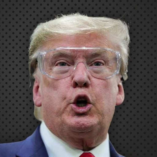 P the President P the President