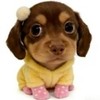 LiteClip