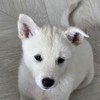 HAPPY HARU 즐거운 하루