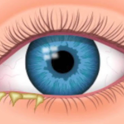 قناة الوصفة اليومية