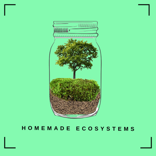 Homemade Ecosystems Homemade Ecosystems