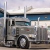 Trucking 4 race cars
