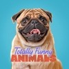 TOTALLY FUNNY ANIMALS