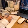 tani study tani study