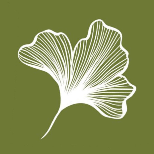 вагу - PLAYBOARD