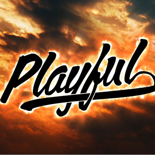 Its Playful Its Playful