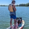 DOGFATHER TV