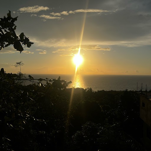 JAMAICA SUNRISE TV JAMAICA SUNRISE TV