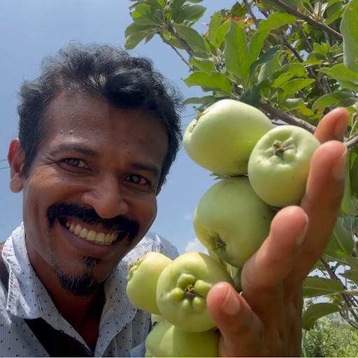 Gamiya Travel Gamiya Travel