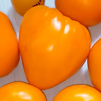 Садоводство с Еленой Садоводство с Еленой