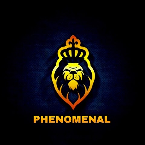Phenomenal Phenomenal