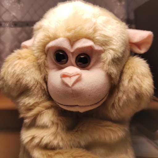 Monkey DMW
