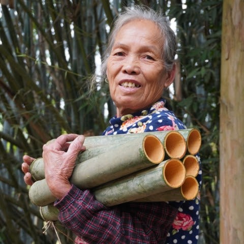玉林阿婆Guangxi grandma
