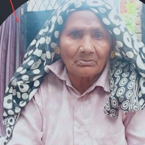 Dadi chameli ,😂 Dadi chameli ,😂