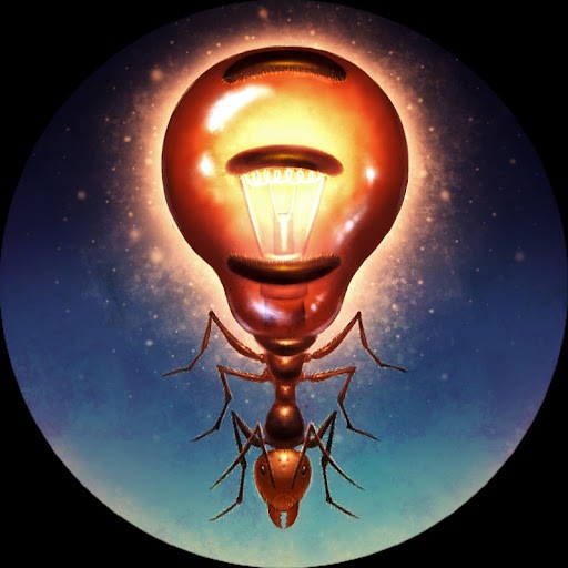 Lights Camera Ants Lights Camera Ants