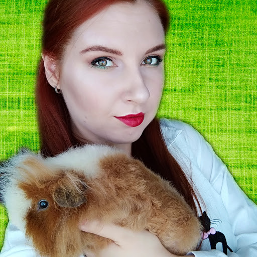 свинка - PLAYBOARD