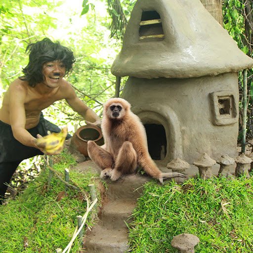 Wilderness Show Wilderness Show