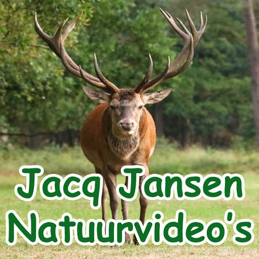 Jacq Jansen Jacq Jansen