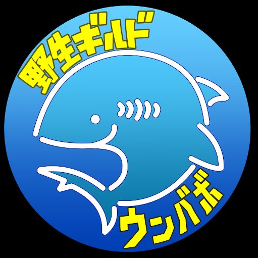 野生ギルド ウンバボ Youtube Channel Analytics Report Playboard