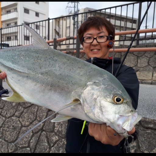 シーバス Playboard