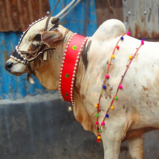 Virtual Gorur Haat Virtual Gorur Haat