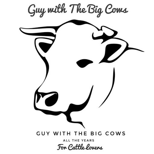 Guy with The Big Cows Guy with The Big Cows