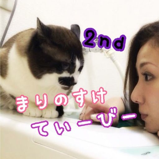 まりのすけ まりのすけ - PLAYBOARD