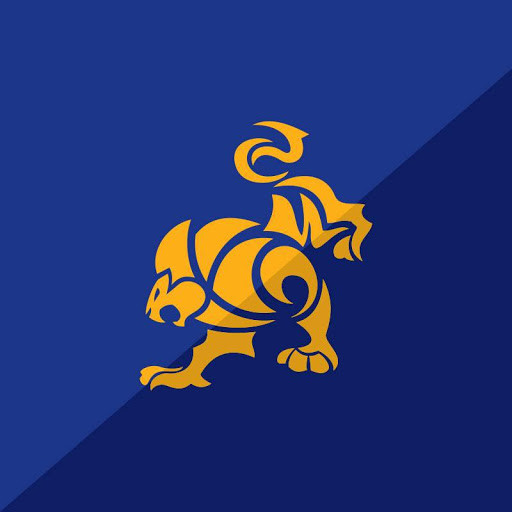 IBJJF (International Brazilian Jiu-Jitsu Federation) IBJJF (International Brazilian Jiu-Jitsu Federation)