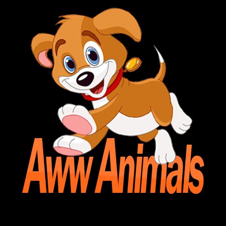 Aww Animals