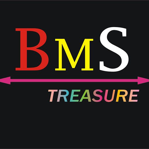 BMS TREASURE BMS TREASURE