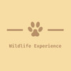 WildLife Experience