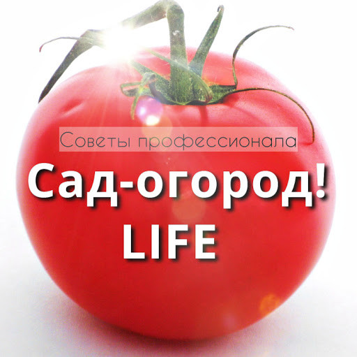 Сад-огород! LIFE Сад-огород! LIFE