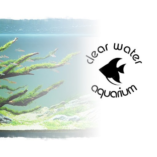Clear Water Aquarium Clear Water Aquarium