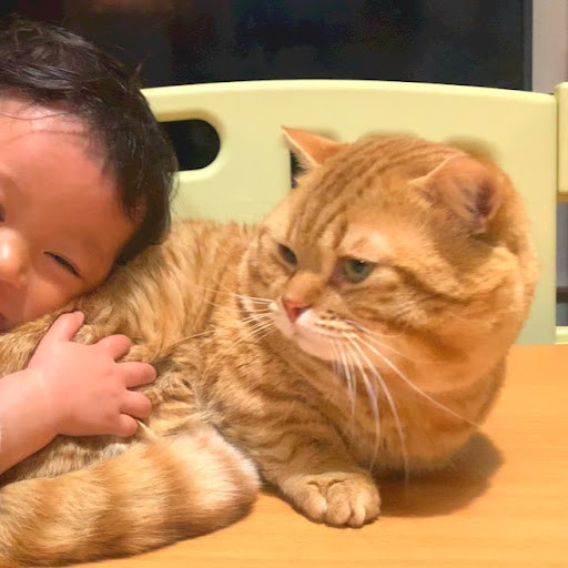 ファミリー Playboard