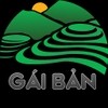 GÁI BẢN