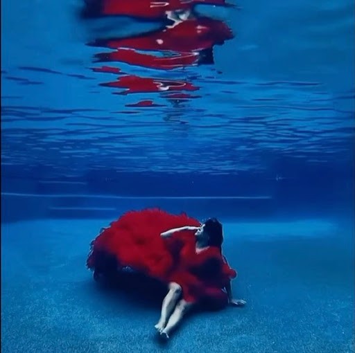 Morning Dive Morning Dive