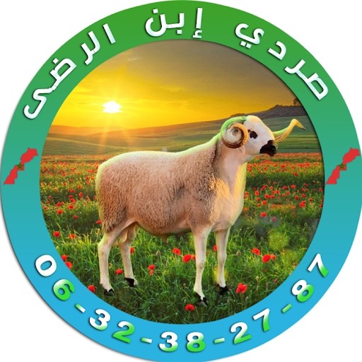 حولي - PLAYBOARD