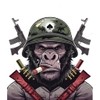 Gorilla Tech 