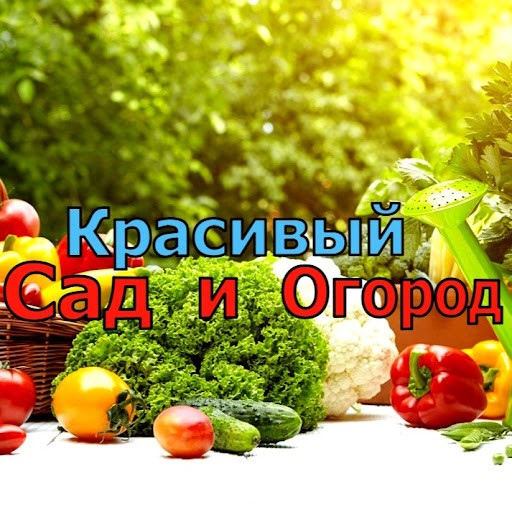КРАСИВЫЙ САД и ОГОРОД КРАСИВЫЙ САД и ОГОРОД