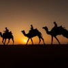 دليلك للسياحة العالمية دليلك للسياحة العالمية