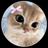 Paw Niby