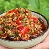 cuộc sống trong rừng rậm