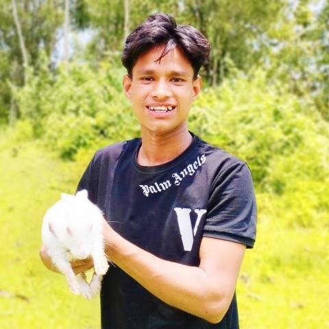 Shakib official Shakib official
