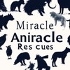 Miracle Animal Rescues