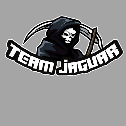 TEAM JAGUAR TEAM JAGUAR