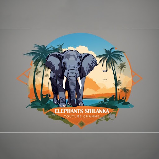 ELEPHANT SRILANKA